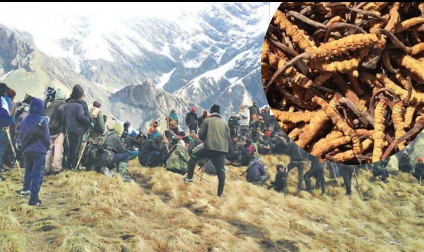 नागरिकबीच सीमा विवाद चर्किएपछि यार्सागुम्बा